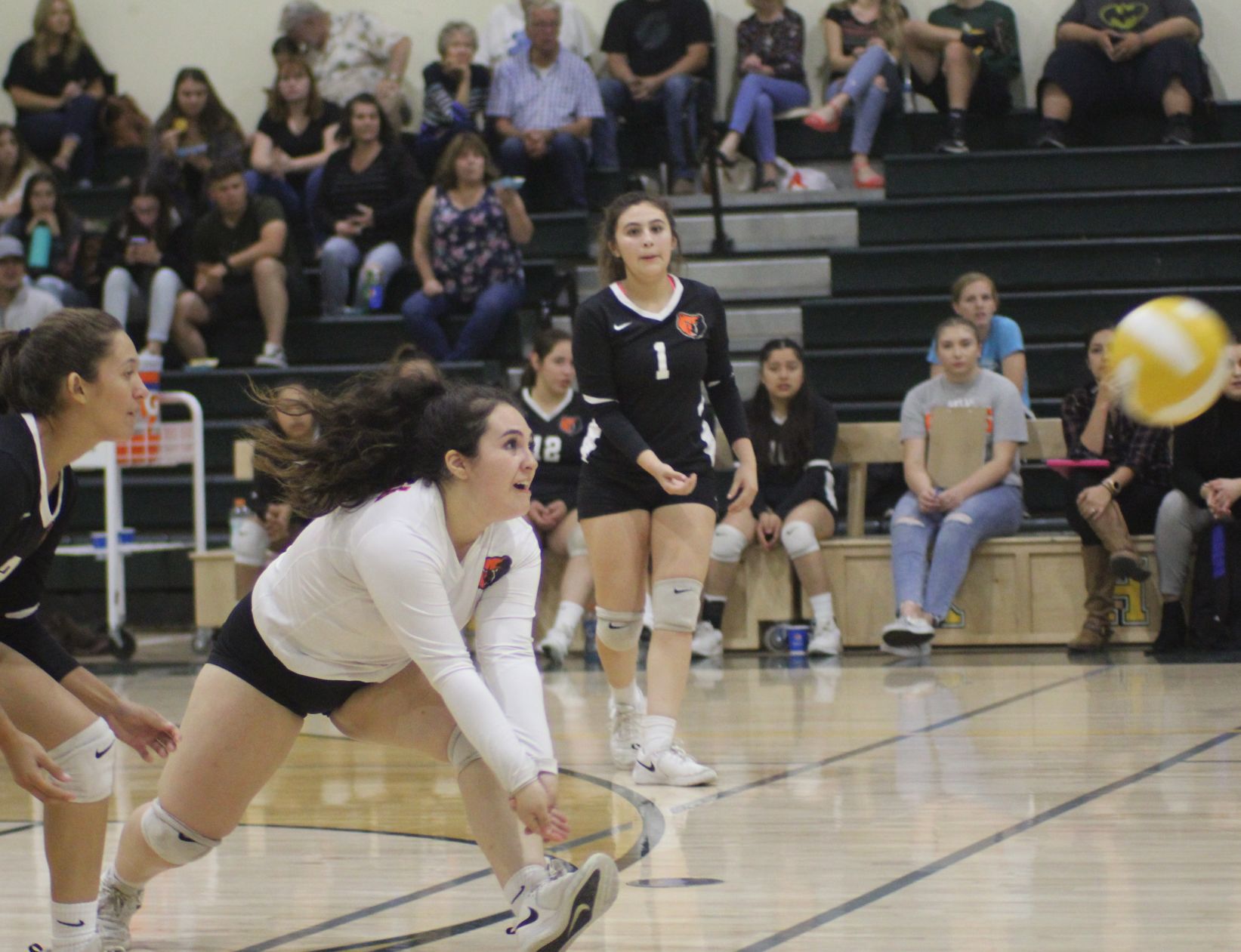Vikings sweep the Bears on senior night